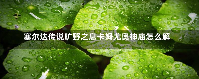 塞尔达传说旷野之息卡姆尤奥神庙怎么解