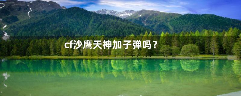 cf沙鹰天神加子弹吗？