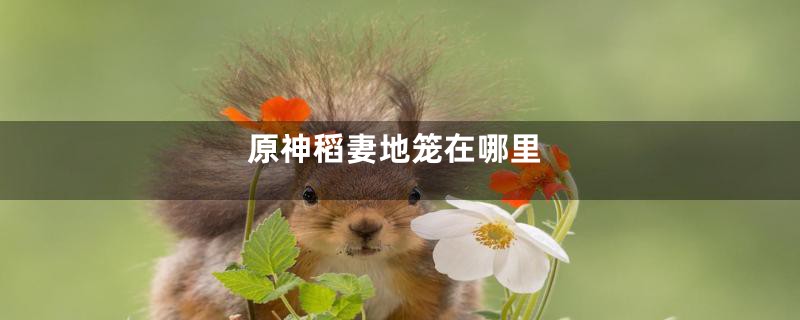 原神稻妻地笼在哪里