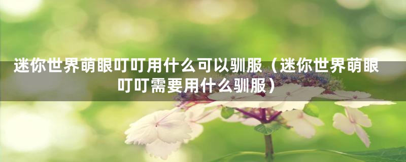 迷你世界萌眼叮叮用什么可以驯服（迷你世界萌眼叮叮需要用什么驯服）