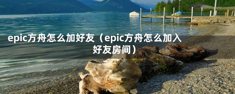 epic方舟怎么加好友（epic方舟怎么加入好友房间）