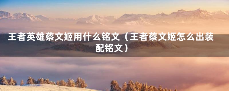 王者英雄蔡文姬用什么铭文(王者蔡文姬怎么出装配铭文)