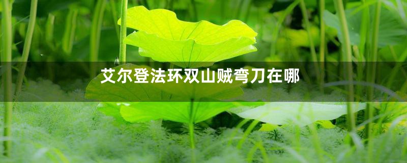 艾尔登法环双山贼弯刀在哪