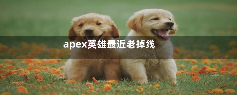 apex英雄最近老掉线