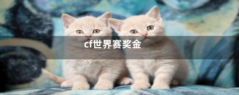 cf世界赛奖金