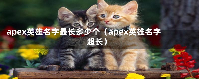 apex英雄名字最长多少个(apex英雄名字超长)