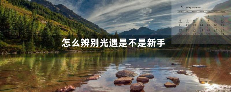 怎么辨别光遇是不是新手