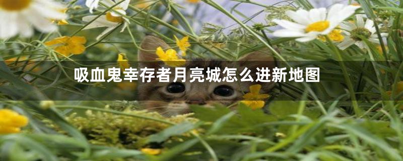 吸血鬼幸存者月亮城怎么进新地图