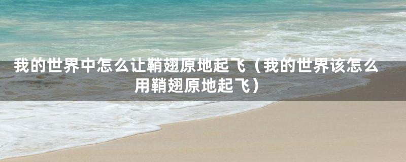 我的世界中怎么让鞘翅原地起飞(我的世界该怎么用鞘翅原地起飞)