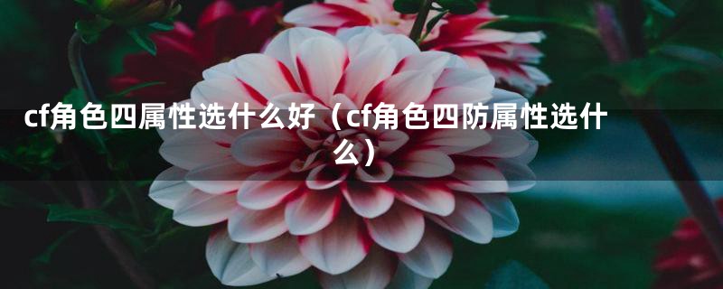 cf角色四属性选什么好（cf角色四防属性选什么）