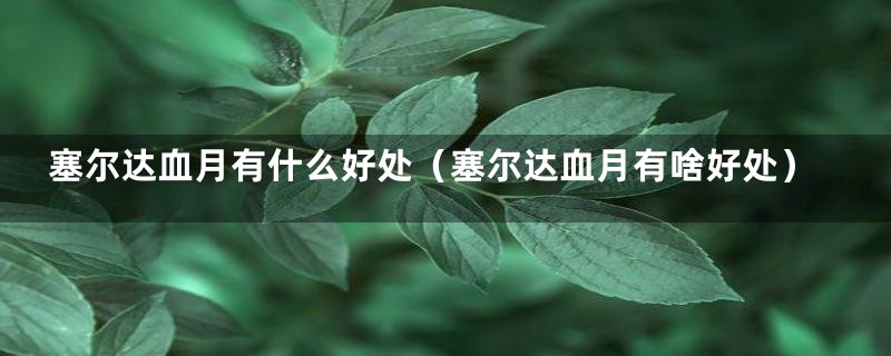 塞尔达血月有什么好处(塞尔达血月有啥好处)