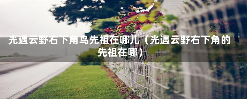 光遇云野右下角鸟先祖在哪儿（光遇云野右下角的先祖在哪）