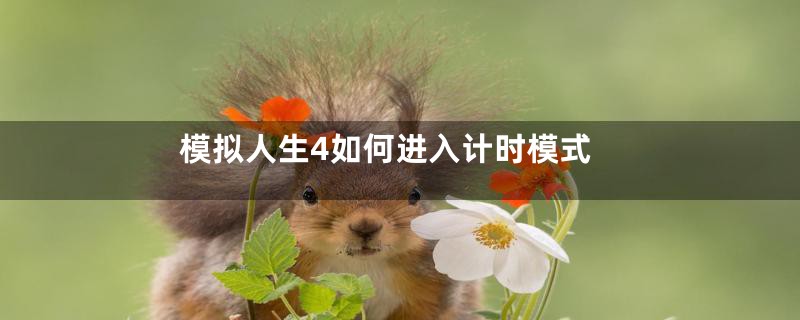 模拟人生4如何进入计时模式