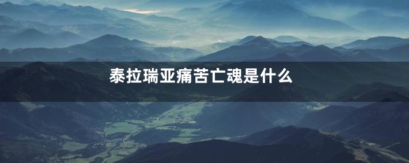 泰拉瑞亚痛苦亡魂是什么