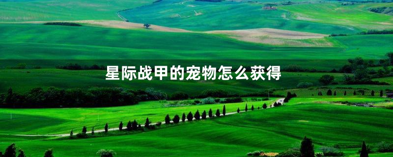 星际战甲的宠物怎么获得