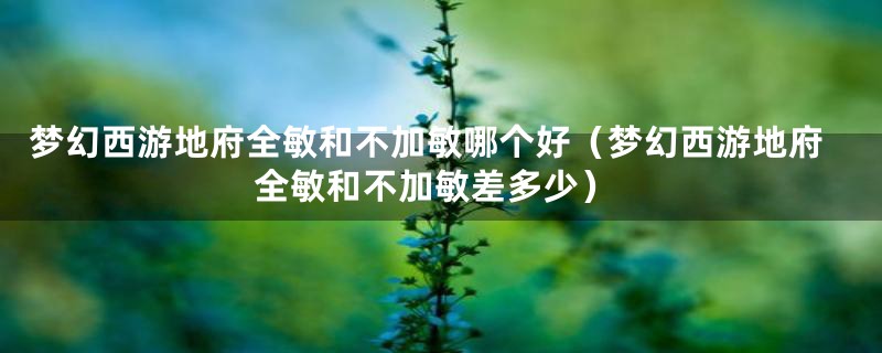 梦幻西游地府全敏和不加敏哪个好(梦幻西游地府全敏和不加敏差多少)