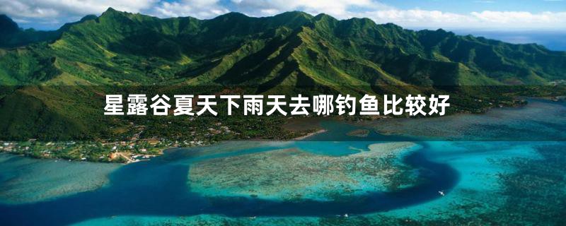 星露谷夏天下雨天去哪钓鱼比较好