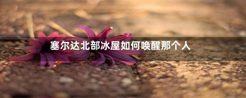 塞尔达北部冰屋如何唤醒那个人