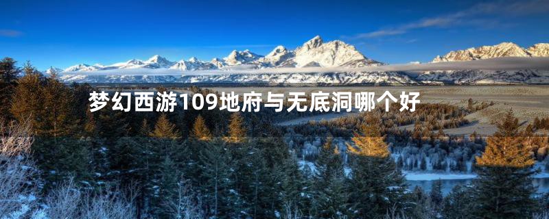 梦幻西游109地府与无底洞哪个好