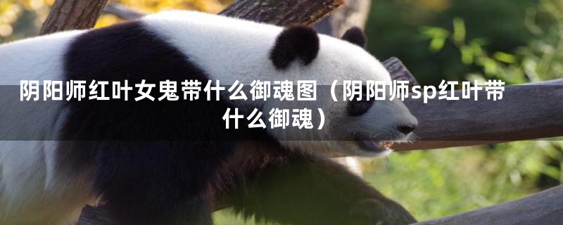 阴阳师红叶女鬼带什么御魂图(阴阳师sp红叶带什么御魂)