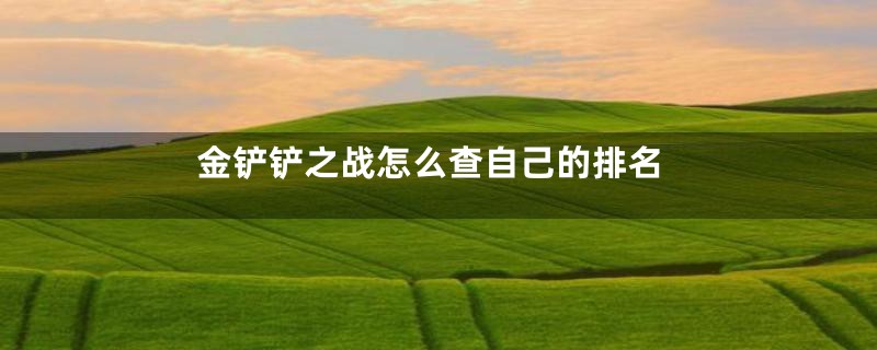 金铲铲之战怎么查自己的排名