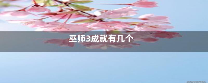 巫师3成就有几个