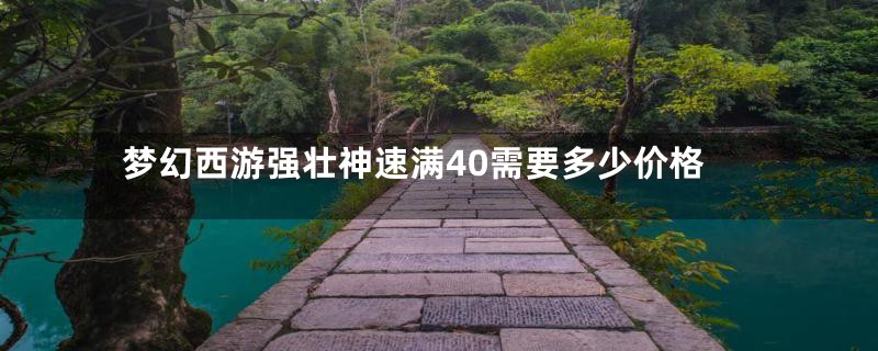 梦幻西游强壮神速满40需要多少价格