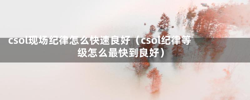 csol现场纪律怎么快速良好(csol纪律等级怎么最快到良好)