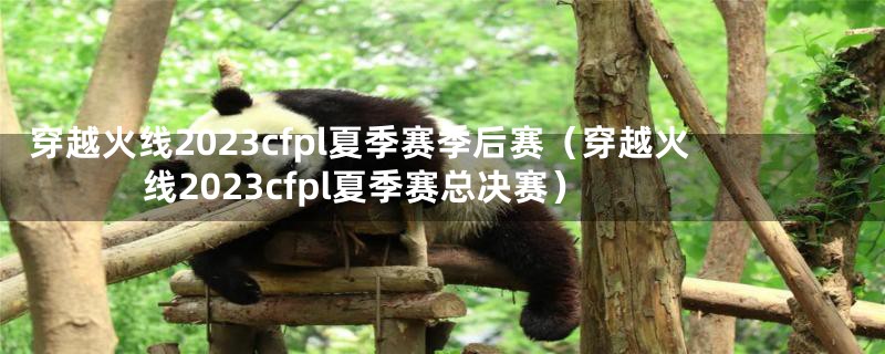 穿越火线2023cfpl夏季赛季后赛(穿越火线2023cfpl夏季赛总决赛)