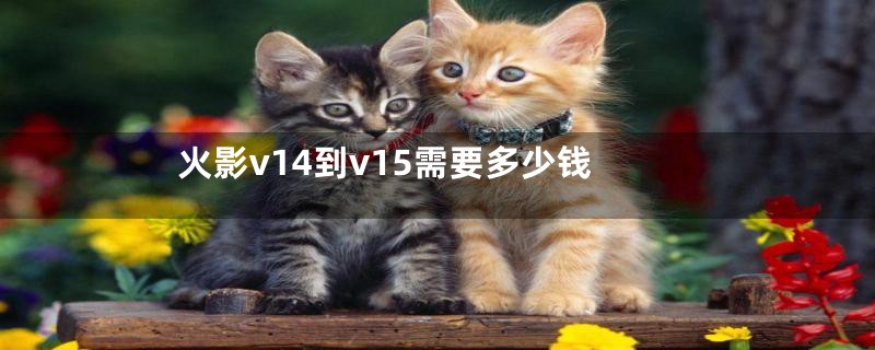 火影v14到v15需要多少钱