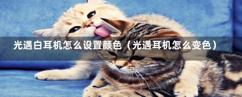 光遇白耳机怎么设置颜色(光遇耳机怎么变色)