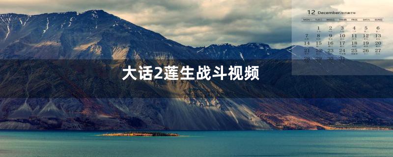 大话2莲生战斗视频