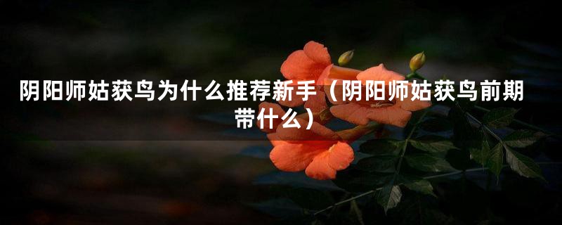 阴阳师姑获鸟为什么推荐新手(阴阳师姑获鸟前期带什么)