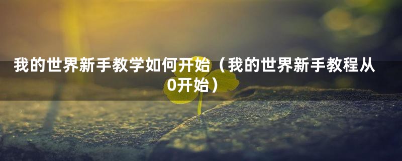 我的世界新手教学如何开始（我的世界新手教程从0开始）