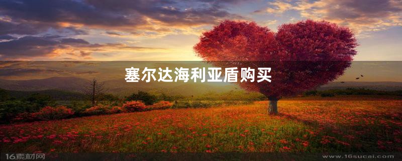 塞尔达海利亚盾购买