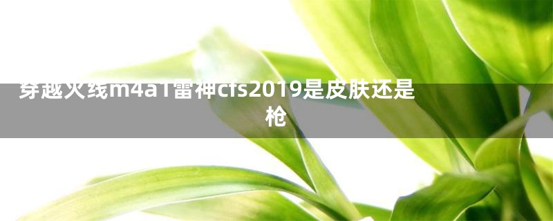 穿越火线m4a1雷神cfs2019是皮肤还是枪