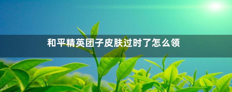 和平精英团子皮肤过时了怎么领