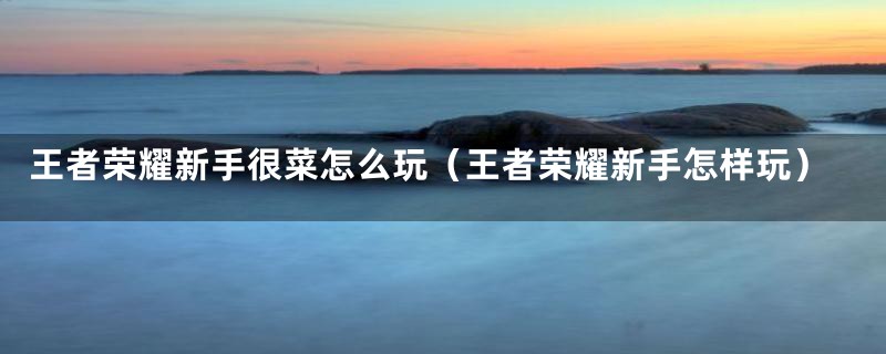 王者荣耀新手很菜怎么玩（王者荣耀新手怎样玩）