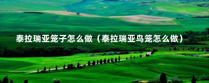 泰拉瑞亚笼子怎么做(泰拉瑞亚鸟笼怎么做)