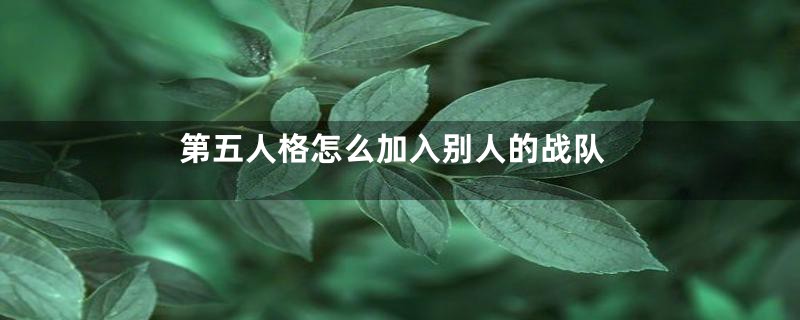 第五人格怎么加入别人的战队