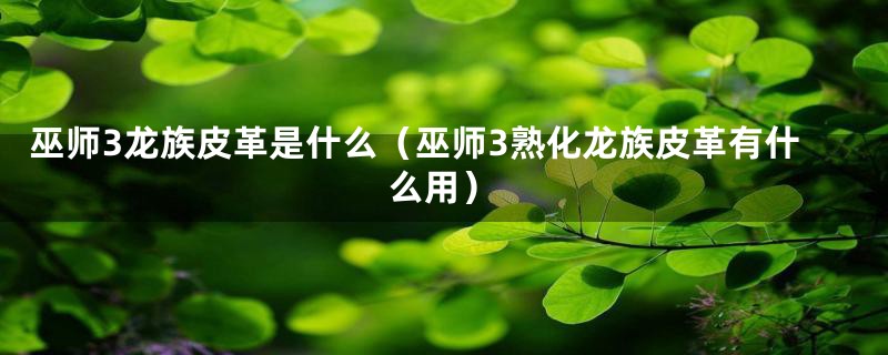 巫师3龙族皮革是什么(巫师3熟化龙族皮革有什么用)