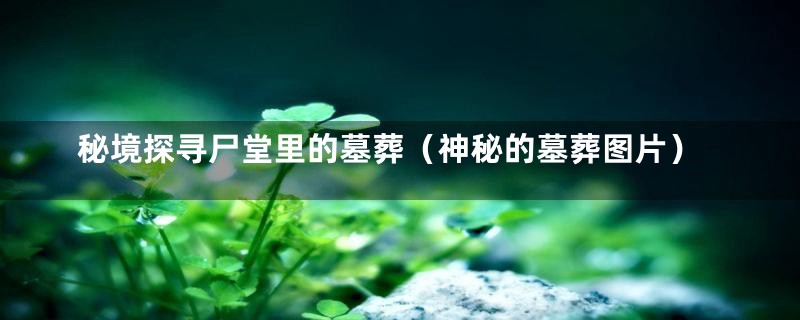 秘境探寻尸堂里的墓葬(神秘的墓葬图片)