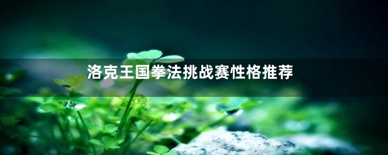 洛克王国拳法挑战赛性格推荐