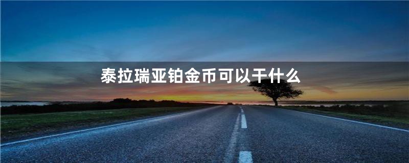 泰拉瑞亚铂金币可以干什么