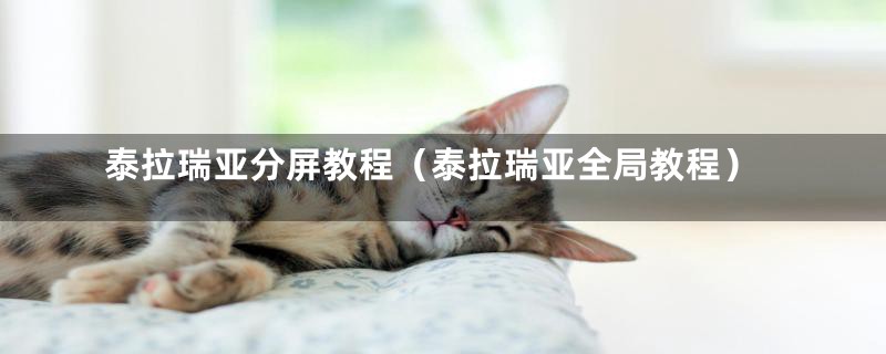 泰拉瑞亚分屏教程(泰拉瑞亚全局教程)