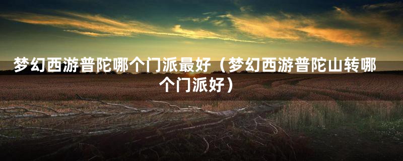 梦幻西游普陀哪个门派最好(梦幻西游普陀山转哪个门派好)