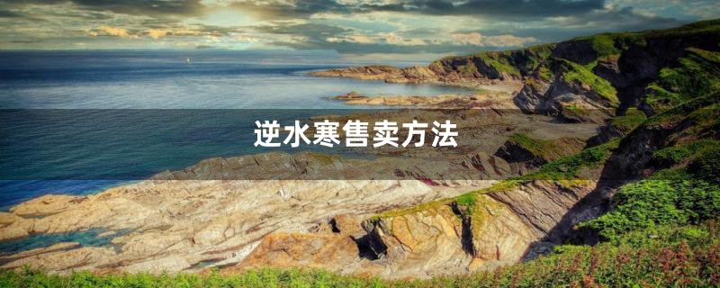 逆水寒售卖方法