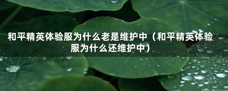 和平精英体验服为什么老是维护中（和平精英体验服为什么还维护中）
