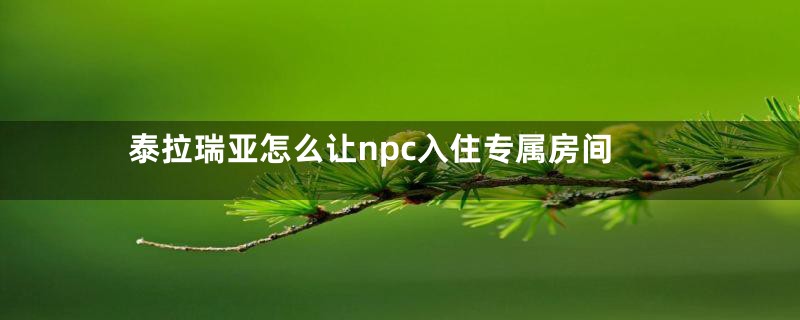 泰拉瑞亚怎么让npc入住专属房间