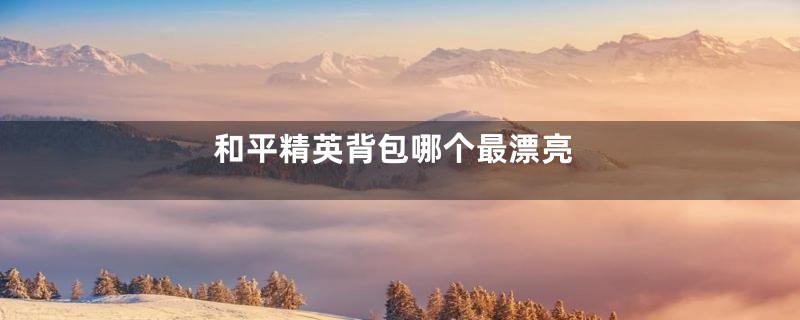 和平精英背包哪个最漂亮